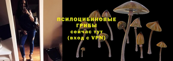 мдпв Елизово
