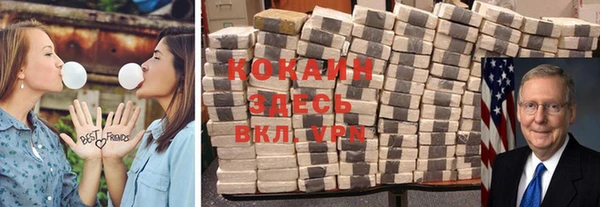 мдпв Елизово